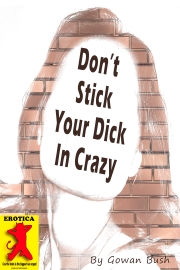 Don't Stick Your Dick in Crazy